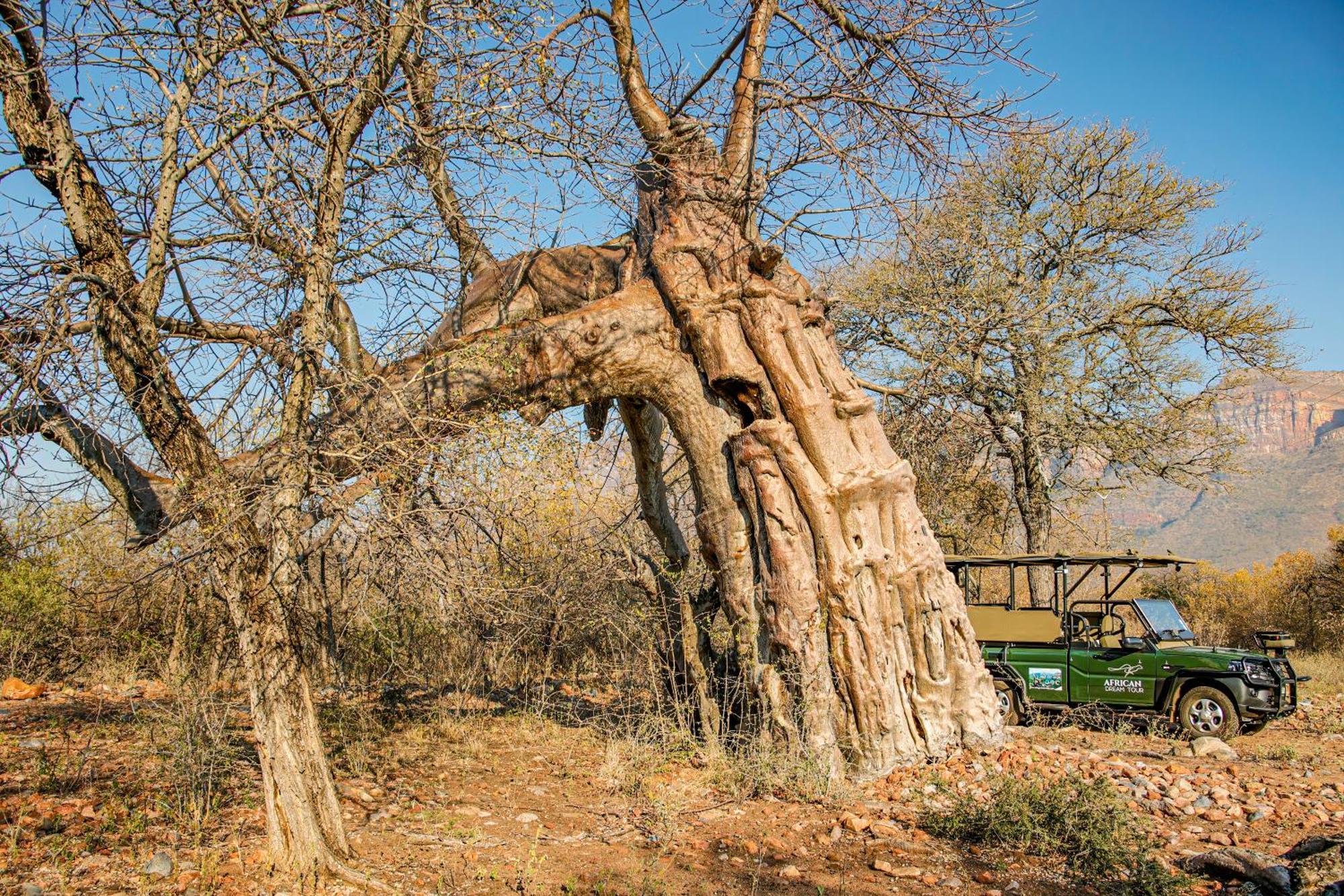African Dream Tour Ходспруит Екстериор снимка